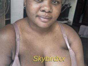 Skybirdxx
