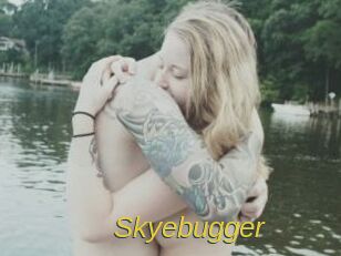 Skyebugger