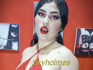 skyholmes Archive DVD ORG