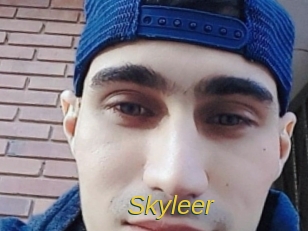 skyleer Archive DVD ORG