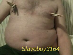 Slaveboy3164