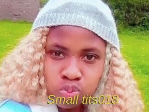 small_tits018 Archive DVD ORG