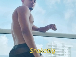 snakebig Archive DVD ORG