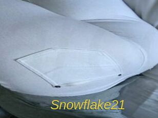 Snowflake21