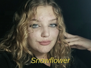 snowflower Archive DVD ORG