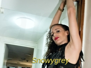 Snowygrey