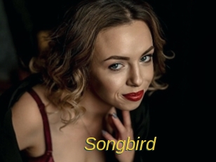 songbird Archive DVD ORG