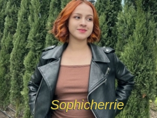 Sophicherrie