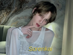 sorenkai Archive DVD ORG