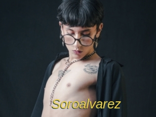 soroalvarez Archive DVD ORG