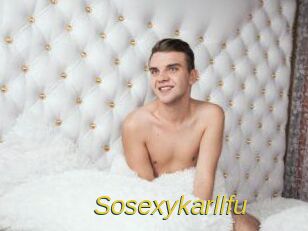 Sosexykarllfu