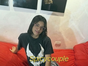 spicycouple Archive DVD ORG