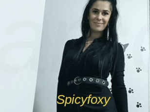 spicyfoxy Archive DVD ORG