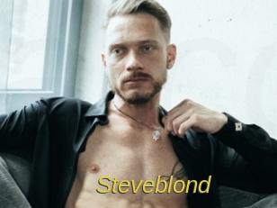 steveblond Archive DVD ORG