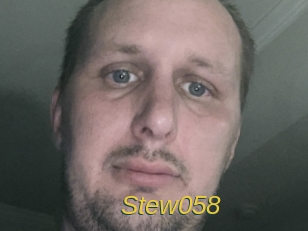 Stew058