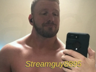 Streamguy8895