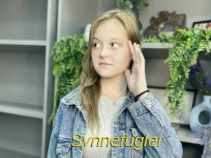 Synnefugler