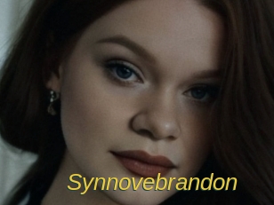 synnovebrandon Archive DVD ORG