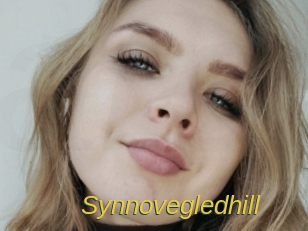 Synnovegledhill