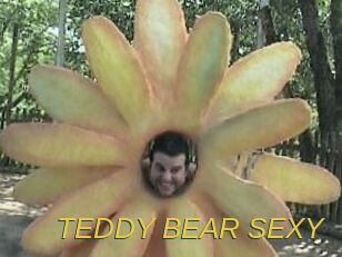 TEDDY_BEAR_SEXY