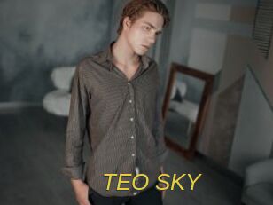 TEO_SKY