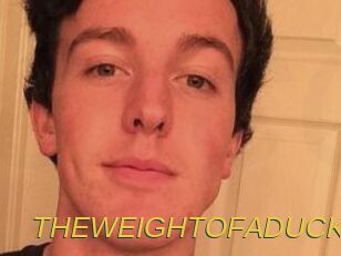 THEWEIGHTOFADUCK