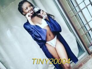 TINY20004