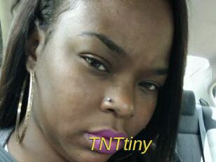 T_N_Ttiny