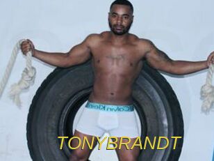 TONYBRANDT