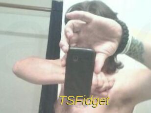 TSFidget