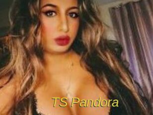 TS_Pandora