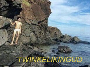 TWINKELIKINGUD