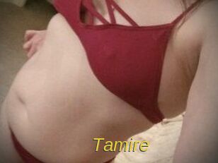 Tamire Archive DVD ORG