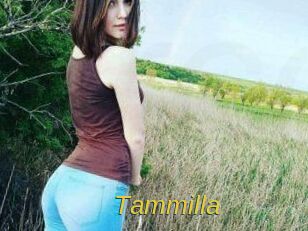 Tammilla_