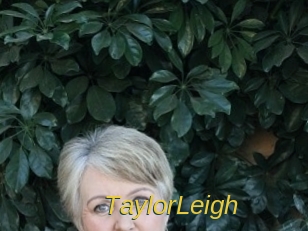 TaylorLeigh Archive DVD ORG
