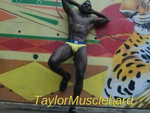 TaylorMusclehard