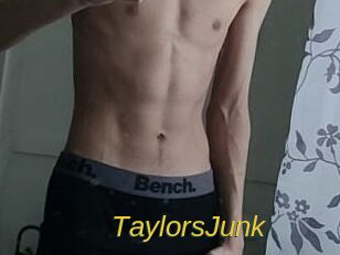 TaylorsJunk