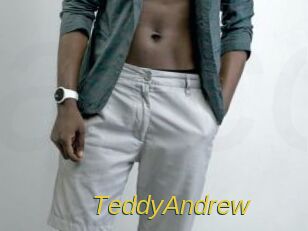 TeddyAndrew Archive DVD ORG