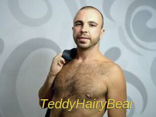 TeddyHairyBear