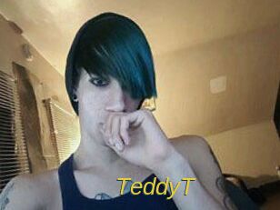 TeddyT Archive DVD ORG