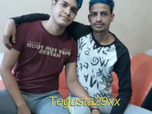 Tegusta29xx