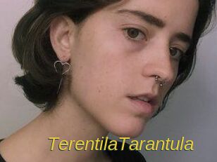 TerentilaTarantula
