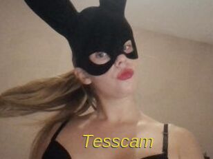 Tesscam