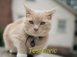 TestAlaric