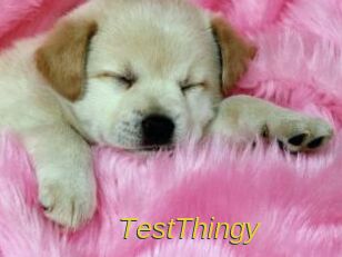 TestThingy