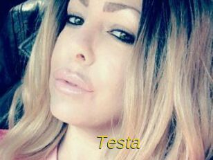 Testa Archive DVD ORG
