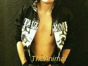 TheAnimal Archive DVD ORG