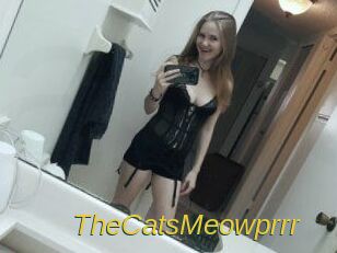 TheCatsMeowprrr