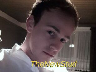 TheNewStud