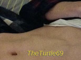 TheTurtle69